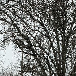 Meet your Posher, Ava